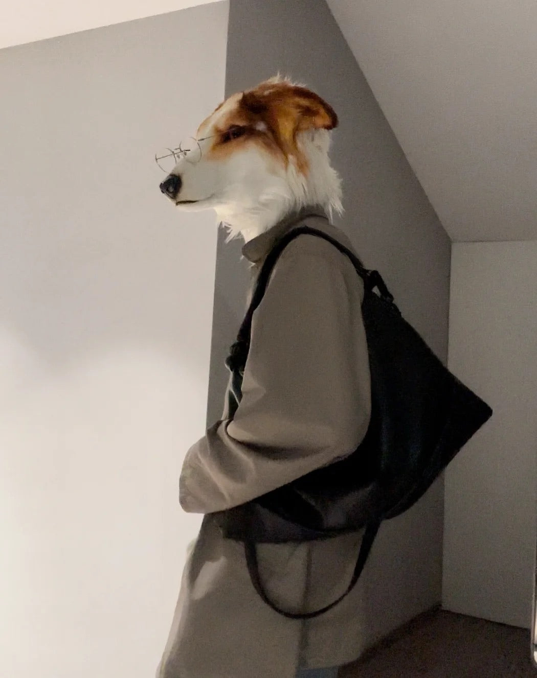 Dog head fursuit custom furry （without clothing）