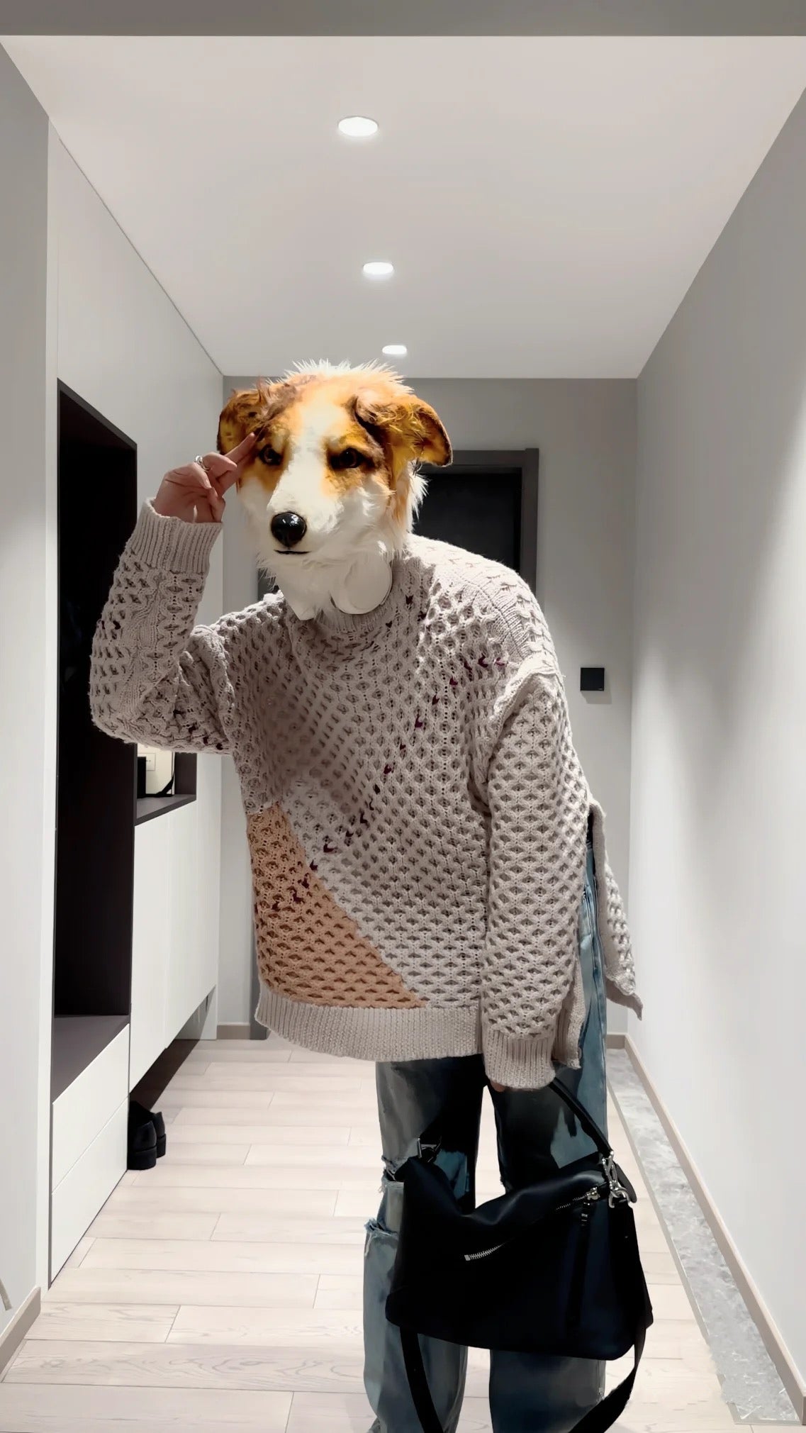 Dog head fursuit custom furry （without clothing）