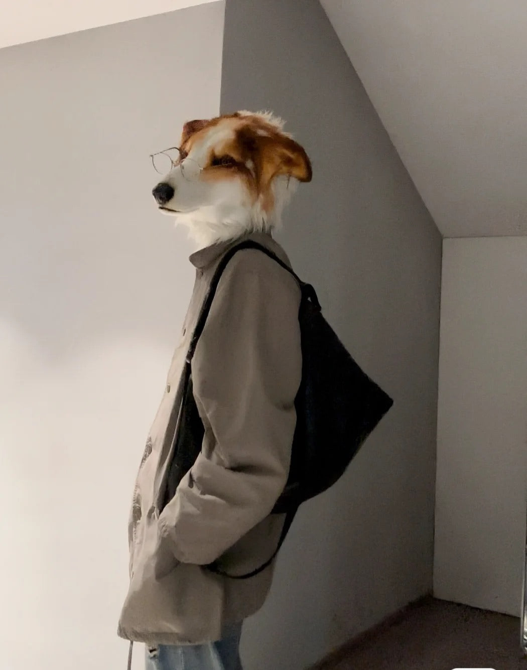 Dog head fursuit custom furry （without clothing）