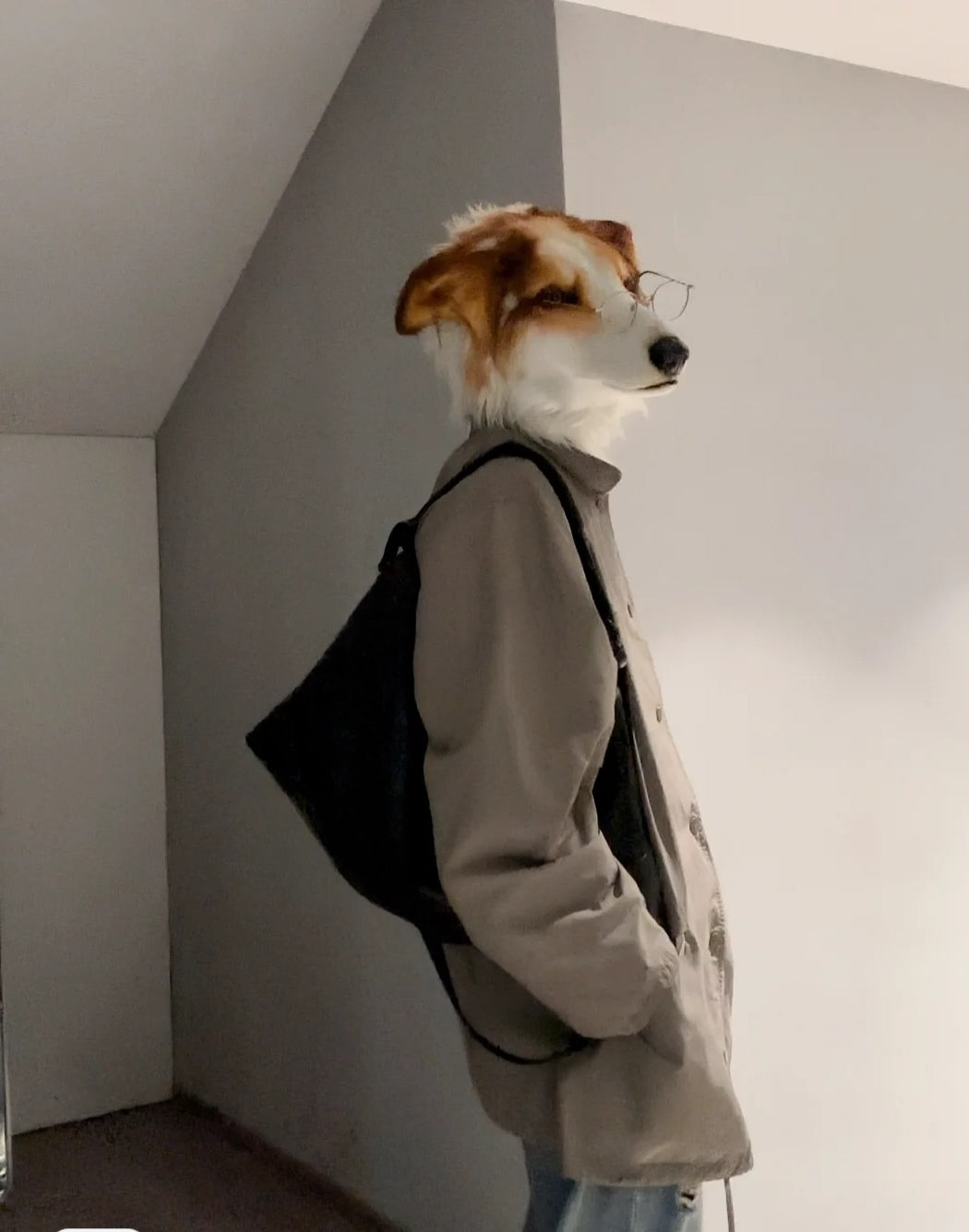 Dog head fursuit custom furry （without clothing）