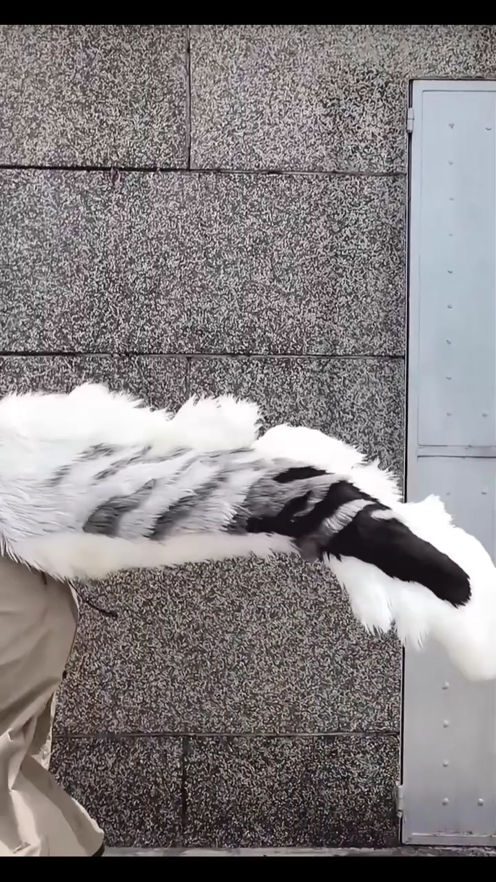 Black, white, and gray color block, large tail, fursuit paws, furry, huge, customizable, dragon tail, fish tail